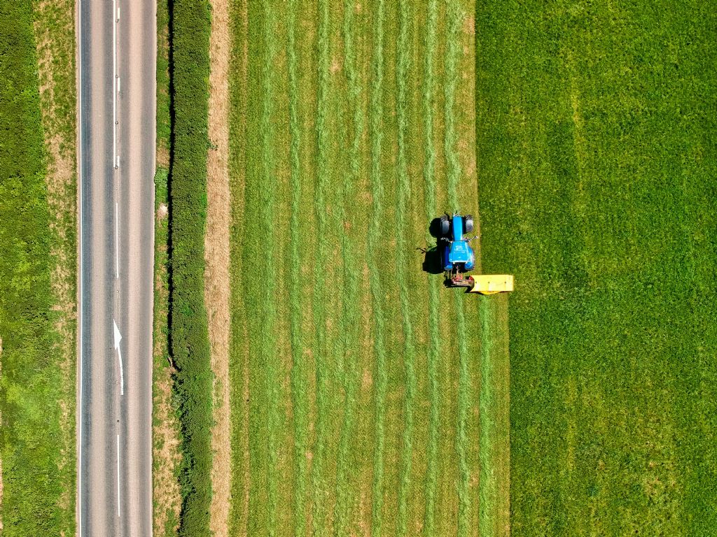 Grass Silage – Cut now or wait?