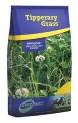 Hybrid Ryegrasses - HiPro-ForageXtra