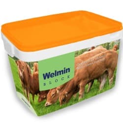 Welmin Optimate Omega 3 Energy & Protein Block