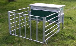 Calf Creep Feeder