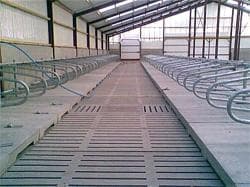 Cattle Slats