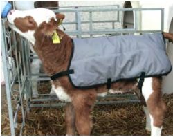 Standard Calf Jacket